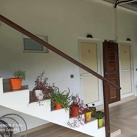 La Maison Du Voyage Tevaitoa Εξωτερικό φωτογραφία